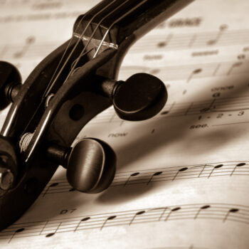 Violino