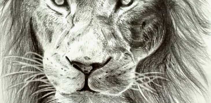 Disegno illustrazione fumetto